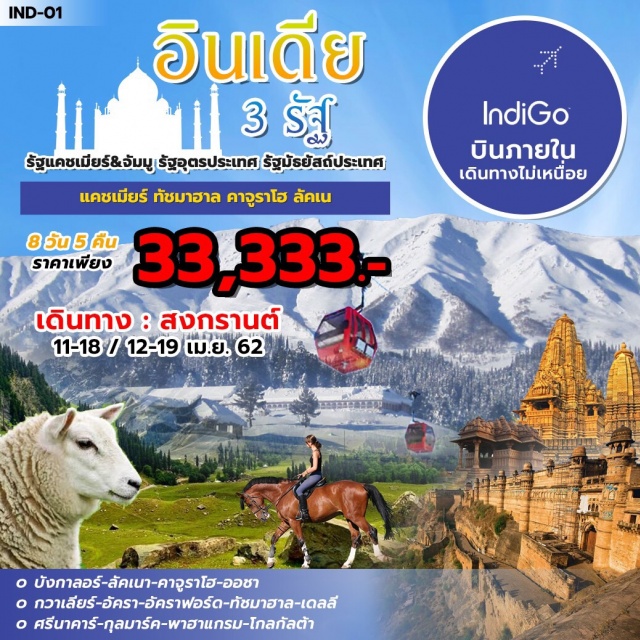 My Image 26