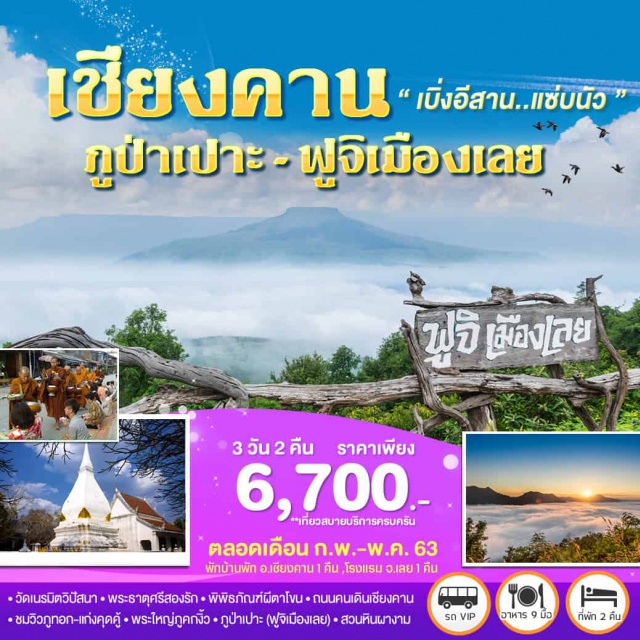 My Image 35