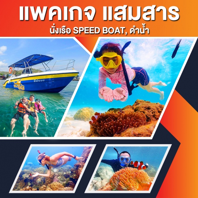 ชลบุรี แสมสาร Package เรือ Beach Boys Snorkeling ทริปดำน้ำชมปะการังในอ่าวแสมสารสัตหีบและถ่ายรูปกับปลานีโม่ ด้วยเรือสปีทโบ๊ทเหมาลำ..ส่วนตัว. ถ่ายรูปใต้น้ำ ฟรีอุปกรณ์ดำน้ำ + ชุดชูชีพน้ำดื่มบนเรือ