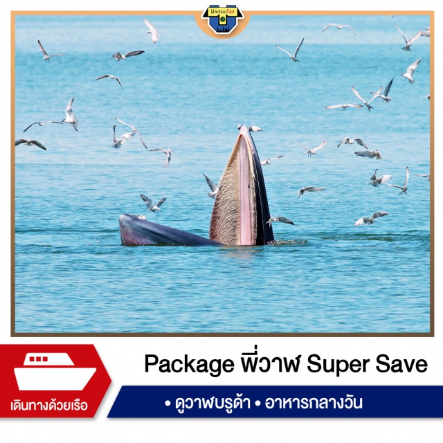 วาฬบรูด้า สมุทรสงคราม ดูวาฬ เรือใหญ่ Super Save ดูปลาวาฬบรูด้า ไม่ต้องเดินทางไปไกลถึงต่างประเทศ!

แค่มาสมุทรสงคราม ก็ได้ดูแล้ว