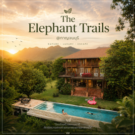 ทัวร์ในประเทศ The Elephant Trails บ้านทางช้างผ่าน เป็นสไตล์ Eclectic คือการผสมผสาน Collectors' Furniture ของเก่า Antiques ให้เข้ากับความทันสมัยของยุคปัจจุบัน