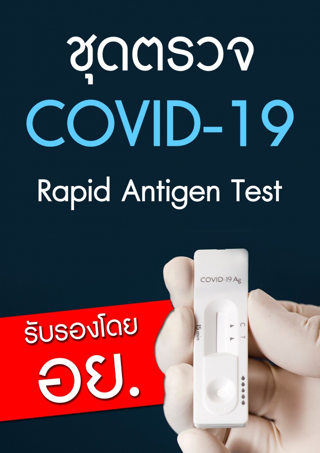 ชุดตรวจโควิด Covid ชุดตรวจ COVID-19 Rapid Antigen Test รับรองโดย อย.
