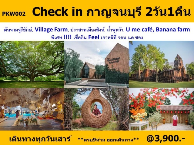 กาญจนบุรี ต้นจามจุรียักษ์ ปราสาทเมืองสิงห์ เที่ยวภาคกลาง จังหวัดกาญจนบุรี ต้นจามจุรียักษ์ / Village Farm / ปราสาทเมืองสิงห์ / ถ้ำพุหว้า / Ume Cafe / Banana Farm / วอนแดซอง