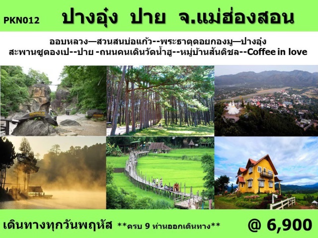แม่ฮ่องสอน ออบหลวง สะพานซูตองเป เที่ยวภาคเหนือ ออบหลวง สวนสนบ่อแก้ว พระธาตุดอยกองมู ปางอุ๋ง สะพานชูตองเป
ปาย ถนนคนเดินวัดน้ำฮู หมู่บ้านสันติชล Coffee in love
