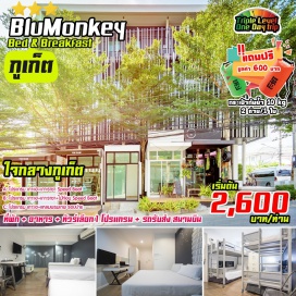ทัวร์ เที่ยวภาคใต้ พัก Blu Monkey Bed & Breakfast Phuket เที่ยวเกาะต่างๆ