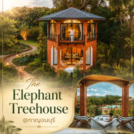 ทัวร์ในประเทศ The Elephant Treehouse พูลวิล่าส่วนตัว หลังใหม่เมืองกาญจน์ ติดแม่น้ำแควใหญ่