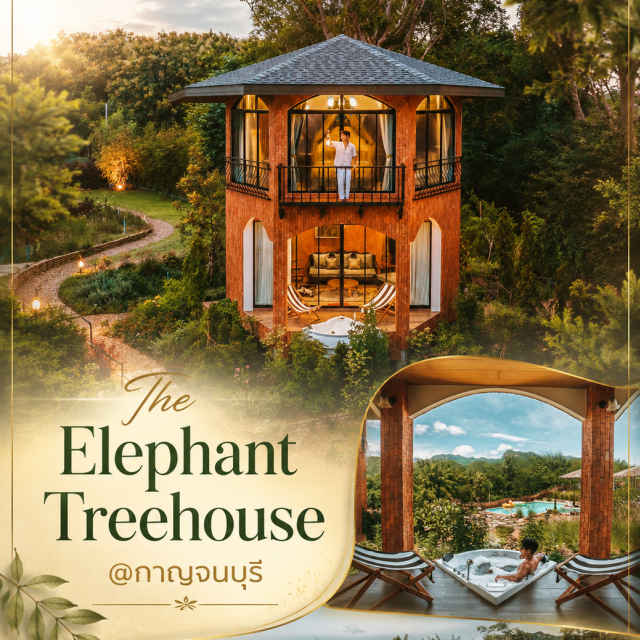 กาญจนบุรี The Elephant Treehouse บ้านต้นไม้ บ้านพักPoolVillaกาญจนบุรี The Elephant Treehouse พูลวิล่าส่วนตัว หลังใหม่เมืองกาญจน์ ติดแม่น้ำแควใหญ่