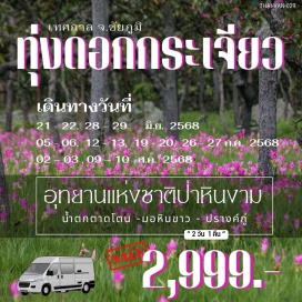 ทัวร์ในประเทศ <p><strong>Day 1 : </strong>กรุงเทพฯ-น้ำตกตาดโตน-อุทยานแห่งชาติภูแลนคา-ผาหัวนาค-กลุ่มหินโขลงช้าง-มอหินขาว-ปรางค์กู่-ชัยภูมิไนท์บาร์ซา<br /><strong>Day 2 : </strong>ชัยภูมิ-อ.เทพสถิต-อุทยานแห่งชาติป่าหินงาม-ทุ่งดอกกระเจียว-  จุดชมวิวสุดแผ่นดิน-กรุงเทพฯ<strong><br /></strong></p>
<p style='text-align: center;'><strong>---อ่านรายละเอียดเพิ่มเติม---</strong></p>