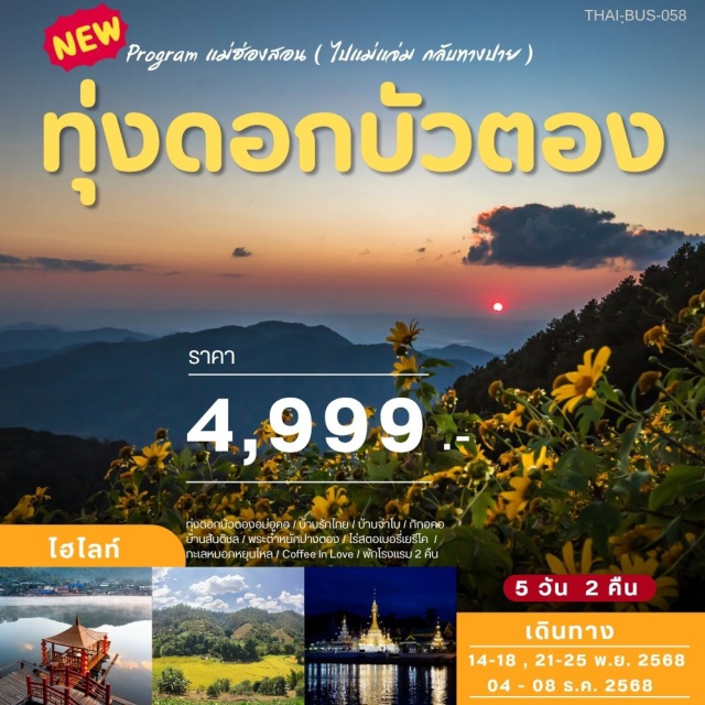 แม่ฮ่องสอน เชียงใหม่ ปาย เทศกาลทุ่งดอกบัวตอง ดอยแม่อูคอ 1 ปี มี1ครั้ง
บ้านรักไทย
ปางอุ๋ง:ไร่ภูหมอกปางอุ๋ง
บ้านจ่าโบ-กิกอคอ-ลุกข้าวหลาม
ชมทะเลหมอกหยุนไหล
หมู่บ้านดิน:บ้านสันติชล
พระตำหนักปางตอง
พระธาตุกองมู:พระธาตุศักด์สิทธิ์
ช็อปปิ้งถนนคนเดิน: ปาย และ แม่ฮ่องสอน