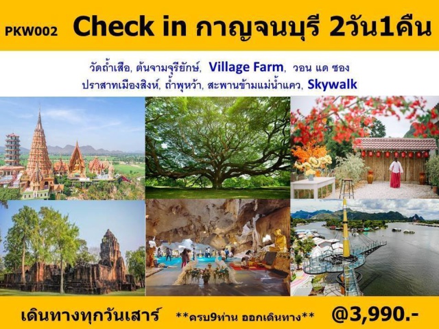 วัดถ้ำเสือ ต้นจามจุรียักษ์ Village Farm ทำบุญที่ วัดถ้ำเสือ ต้นจามจุรียักษ์ มีอายุมากกว่า 100 ปี วิลเลจฟาร์มคาเฟ่  คาเฟ่สุดโมเดิร์นแห่งกาญจนบุรี วอน-แด-ซอง  เกาหลีทิพย์เมืองกาญจน์