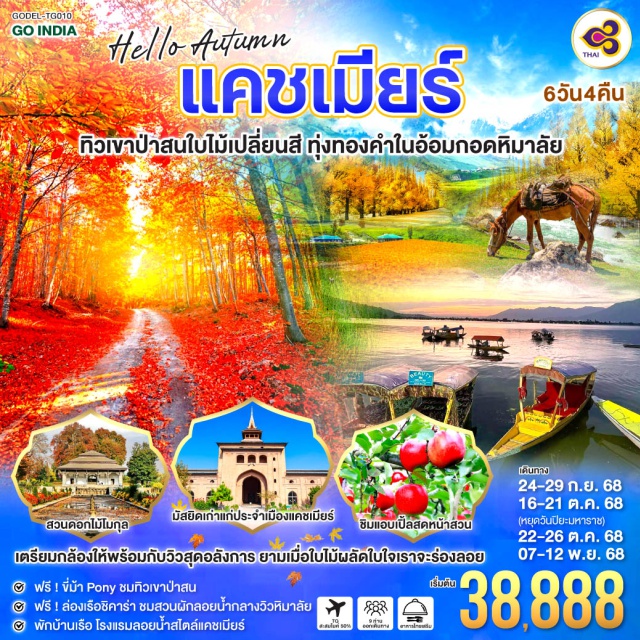แคชเมียร์ เดลี ศรีนาการ์ เตรียมกล้อง ให้พร้อมกับวิวสุดอลังการ ยามเมื่อใบไม้ผลัดใบใจเราจะร่องลอย ชิม แอบเปิ้ล สดหน้าสวน ชมมัสยิดเก่าแก่และศักดิ์สิทธิ์ ประจำเมืองแคชเมียร์ - ฟรีขี่ม้า Pony ชมทิวเขาป่าสน - ฟรี ล่องเรือชิคาร่า ชมสวนผักลอยน้ำกลางวิวหิมาลัย - พักบ้านเรือ โรงแรมลอยน้ำสไตล์แคชเมียร์