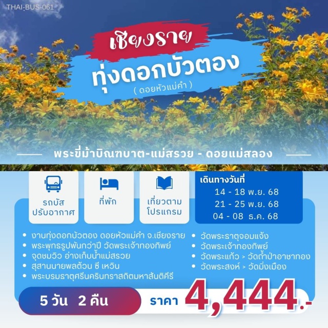 เชียงราย ทุ่งดอกบัวตอง ดอยแม่สลอง เทศกาลทุ่งดอกบัวตอง ดอยหัวแม่คำ จ.เชียงราย
พระพุทธรูปพันกว่าปี วัดพระเจ้าทองทิพย์
จุดชมวิว อ่างเก็บน้ำแม่สลวย
สุสานนายพลต้วน ซี เหวิน
พระบรมธาตุศรีนครินทราสถิตมหาสันติศิริ
ช็อปปิ้ง: เชียงรายไนท์บาซาร์,ถนนคนเดินเชียงใหม่
นอน2 คืน (เชียงราย)
เดินทางโดย_รถบัสปรับอากาศ