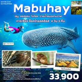 ทัวร์ฟิลิปปินส์ <p><strong>Day 1 :</strong> กรุงเทพฯ (สนามบินดอนเมือง) - เซบู (สนามบิน แม็กทัน เซบู) – กางเขนโบราณ – โบสถ์ซานโตนิโญ -  พิพิธภัณฑ์ Casa Gorordo - อนุสาวรีย์มรดกแห่งเซบู The Heritage of Cebu Monument<br /><strong>Day 2 : </strong>มุ่งหน้าสู่ออสลอบ เปิดประสบการณ์การว่ายน้ำกับเหล่าฉลามวาฬ - ว่ายน้ำและดำน้ำตื้นชมดงามเกาะสุมิลอน<br /><strong>Day 3 : </strong>มุ่งหน้าสู่เกาะโบโฮล เปิดประสบการณ์สนุกในเกาะโบโฮล ชมลิงทาร์เซียร์ ลิงที่มีขนาดเล็กที่สุดในโลก – ช็อกโกแลตฮิลส์สถานที่ท่องเที่ยวที่มีชื่อเสียงของโบโฮล - Baclayon Church โบสถ์ที่มีอายุเก่าแก่เป็นอันดับสองของฟิลิปปินส์ – เกาะเซบู - สนามบิน แม็กทัน เซบู   <br /><strong>Day 4 :</strong> เซบู (สนามบิน แม็กทัน เซบู)  - กรุงเทพฯ (สนามบินดอนเมือง)   <strong><br /></strong></p>
<p style='text-align: center;'><strong>---อ่านรายละเอียดเพิ่มเติม---</strong></p>