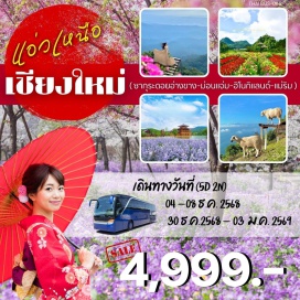 ทัวร์ในประเทศ <p><strong>Day 1 : </strong>กรุงเทพฯ<strong><br /></strong><strong>Day 2 : </strong>เชียงใหม่-ม่อนแจ่ม-แม่ริม-ไร่สตรอเบอร์รี่ ผาถ้ำแกลบ-ถนนชมวิวดอยหลวงเชียงดาว 107-อ.ไชยปราการ<br /><strong>Day 3 : </strong>ไชยปราการ-จุดชมวิวม่อนสน-ตลาดม้งอ่างขาง-ดอยอ่างขาง-สถานนีเกษตรหลวงอ่างขาง-โรงเตี๋ยมถ้ำงอบ -จุดชมวิวซุยถัง-ผาแดง-ไชยปราการ<strong><br /></strong><strong>Day 4 : </strong>ไชยปราการ-ฮิโนกิแลนด์-ตลาดม้งห้วยลึก-โครงการหลวงห้วยลึก-สวนสนแม่แตง-ร้านสวนสนคาเฟ่-เชียงใหม่-คลองแม่ข่า<strong><br /></strong><strong>Day 5 :</strong> กรุงเทพฯ<strong><br /></strong></p>
<p style='text-align: center;'><strong>---อ่านรายละเอียดเพิ่มเติม---</strong></p>