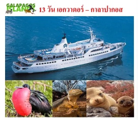 ทัวร์กาต้าร์ เปิดโลกกาลาปากอสโดยเรือกาลาปากอสเลเจนด์ (GalapagosLegendCruise) ㆍ เกาะซานตาครูซ (SantaCruzIsland) ㆍ เอลบารันโก (ElBarranco) ㆍ เกาะจีโนวีซา (GenovesaIsland) ㆍ เกาะเซาท์พลาซา (SouthPlazaIsland) ㆍ เกาะซานตาเฟ (SantaFeIsland) ㆍ หาดบาชาส (LasBachasBeach) ㆍ ท่าเอกาส (PuertoEgas) ㆍ เกาะซานเตียโก (SantiagoIsland) ㆍ เกาะราบิดา (RabidaIsland) ㆍ อ่าวเออร์บิน่า (UrbinaBay) ㆍ เกาะอิซเบลล่า (IsabelaIsland) ㆍ ทากาสโคฟ (TagusCove) ㆍ ปุนตาเอสปิโนซา (PuntaEspinoza) ㆍ เกาะเฟอร์ดินานดิน่า (FernandinaIsland) ㆍ ปุนตาวินเซนเต้โรคา (PuntaVicenteRoca) ㆍ เกาะซานคริสโตบอล (SanCristobalIsland) ㆍ อนุสาวรีย์มิดเดิลออฟเดอะเวิลด์ซิตี้ (MonumentOfMiddleOfTheWorldCity)