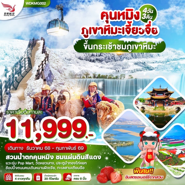 ขึ้นกระเช้าชมภูเขาหิมะ สวนน้ำตกคุนหมิง วัดหยวนทง สวนน้ำตกคุนหมิง ชมแผ่นดินสีแดง
แวะจุ่ม Pop Mart, วัดหยวนทง, ประตูบ้าทองไก่หยก
ช้อปปิ้งถนนคนเดินหนานผิงเจีย, ทะเลสาบเตียนฉือ#พัก4ดาว