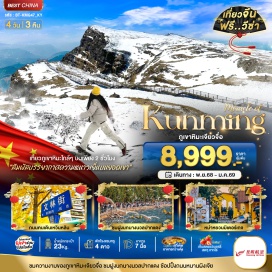 ทัวร์ ภูเขาหิมะเจียวจื่อㆍสวนสตรอว์เบอร์รี่ㆍประตูม้าทองไก่หยกㆍถนนคนเดินหนานผิงเจียㆍภูเขาซีซานㆍร้านหยกㆍหม่าหยวนมิเตอร์เกจㆍเขื่อนไห่เกิงㆍจุดชมฝูงนกนางนวลปากแดงㆍซุ้มประตูม้าทองㆍซุ้มประตูไก่หยกㆍทะเลสาบชุ่ยหูㆍถนนต้นแปะก๊วยเหวินหลินㆍร้านยาㆍถนนหวงกงตะวันออกㆍป้ายสถานีคุนหมิง