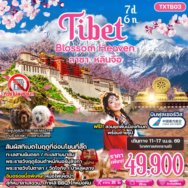 ลาซา ยัมดรก หลินจือ พระราชวังโปตาลา (Potala Palace)ㆍวัดโจกัง (Jokhang Temple) ศูนย์รวมศรัทธาทิเบตㆍพระราชวังฤดูร้อนนอร์บุลิงกา (Norbulingka)ㆍทะเลสาบยัมดรก (Yamdrok Lake) วิวศักดิ์สิทธิ์บนหลังคาโลกㆍป่าหลู่หลาง (Lulang Forest) ธรรมชาติหิมาลัยอันสมบูรณ์ #เที่ยวเต็มไม่มีวันอิสระ #ไม่ลงร้านช้อป #ไหว้พระ #สายมู#พัก4ดาว