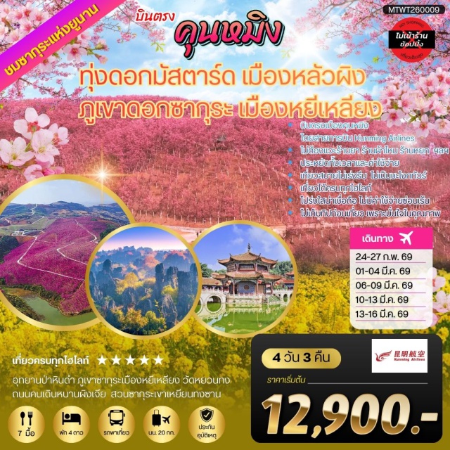 คุนหมิง หลัวผิง สือหลิน ชมทุ่งดอกมัสตาร์ทหลัวผิง (Luoping Canola Fields)ㆍภูเขาร้อยยอด (Jiulong Waterfalls Scenic Area)ㆍอุทยานป่าหินดำสือหลิน (Stone Forest)ㆍภูเขาซากุระหยีเหลียง (Yiliang Sakura Mountain)ㆍวัดหยวนทง (Yuantong Temple) #เที่ยวเต็มไม่มีวันอิสระ#ไม่ลงร้านช้อป