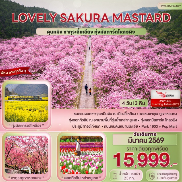 ทุ่งมัสตาร์ดโหลวผิง ภูเขาหยวนทง วัดหยวนทง อี้เหลียง (Yiliang) ㆍ สวนซากุระหมื่นต้น (Yiliang Cherry Blossom Garden) ㆍ โหลวผิง (Luoping) ㆍ ทุ่งมัสตาร์ดโหลวผิง (Luoping Canola Flower Fields) ㆍ อุทยานพื้นที่ชุ่มน้ำเหล่าหยูเหอ (Lao Yu He Wetland Park) ㆍ ภูเขาหยวนทง (Yuantong Mountain) ㆍ พาร์ค 1903 (Park 1903) ㆍ ป๊อปมาร์ท (Pop Mart) ㆍ วัดหยวนทง (Yuantong Temple) ㆍ ประตูม้าทองไก่หยก (Golden Horse and Jade Rooster Archway) ㆍ ถนนคนเดินหนานผิงเจีย (Nanping Pedestrian Street)#เที่ยวเต็มไม่มีวันอิสระ#พัก4ดาว#ไม่ลงร้านช้อป