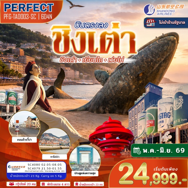 ชิงเต่า เผิงไหล เว่ยไห่ พิพิธภัณฑ์เบียร์ชิงเต่า (Tsingtao Beer Museum) ㆍ ศาลาเผิงไหล (Penglai Pavilion) ㆍ ไร่ไวน์จางยู่ (Zhangyu Wine Culture Museum) ㆍ ถนนคบเพลิงหมายเลข 8 (Torch 8 Street) ㆍ สะพานจ้านเฉียว (Zhanqiao Pier) #เที่ยวเต็มไม่มีวันอิสระ #ไม่ลงร้านช้อป