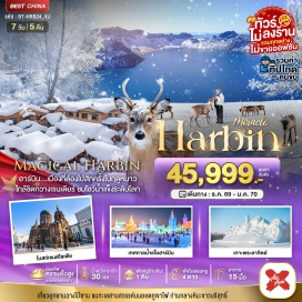 ทัวร์จีน หมู่บ้านหิมะ (China's Snow Town) ㆍ เขาฉางไป๋ซาน (Changbai Mountain) ㆍ ทะเลสาบเทียนฉือ (Heaven Lake) ㆍ เทศกาลแกะสลักหิมะและน้ำแข็งนานาชาติ (Harbin Ice and Snow Festival) ㆍ เกาะพระอาทิตย์ (Sun Island) ㆍ โบสถ์เซนต์โซเฟีย (Saint Sophia Cathedral) #เที่ยวเต็มไม่มีวันอิสระ