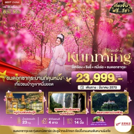 ทัวร์จีน สวนดอกซากุระหมื่นต้น (Sakura Garden) ㆍ ทุ่งดอกมัสตาร์ด (Mustard Flower Field) ㆍ ป่าภูเขาหมื่นยอด (Wanfenglin) ㆍ หุบเหวน้ำตกร้อยสาย (Hundred Waterfalls Gorge) ㆍ พระสังกัจจายน์องค์ใหญ่ที่สุดในโลก (Giant Maitreya Buddha) ㆍ ภูเขาหยวนทง (Yuantong Mountain) #เที่ยวเต็มไม่มีวันอิสระ