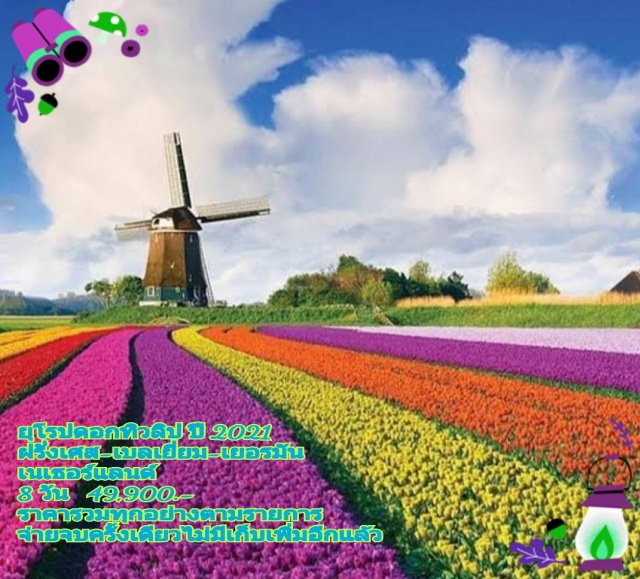 My Image 16