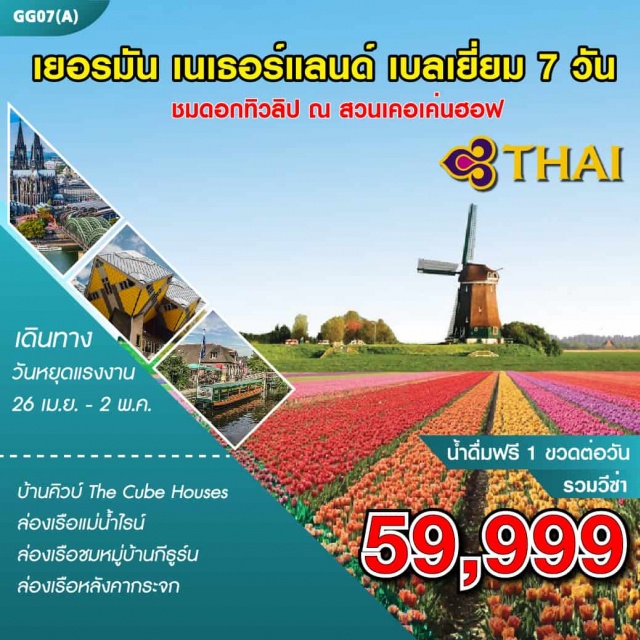 หมู่บ้านกังหันลม ล่องเรือชมหมู่บ้านกีธูร์น ชมดอกทิวลิป 