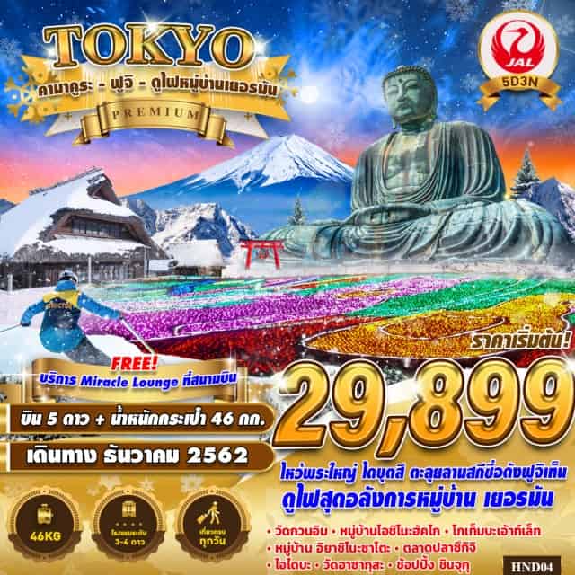 . พระใหญ่คามะคุระ-วัดกวนอิม–โอชิโนะฮัคไค–โกเท็มบะเอาท์เล็ท
(พิเศษ!!เมนูบุฟเฟต์ขาปูยักษ์ไม่อั้น!!และอาบน้ำแร่ออนเซ็น!!)
ลานสกีฟูจิเทน-พิพิธภัณฑ์แผ่นดินไหว–หมู่บ้านอิยาชิโนะซาโตะ–
ดูประดับไฟที่GermenVillage–นาริตะ
ตลาดปลาซึกิจิ–อาซากุสะ–ชินจุกุ–โอไดบะ