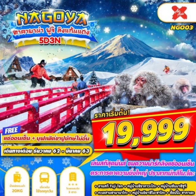 นาโกย่า ทาคายาม่า ชิราคาวาโกะ ปราสาทมัตสึโมโตะ ลิงหิมะ เล่นสกี 