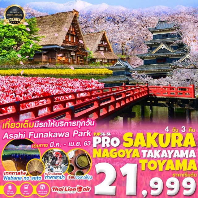 นาโกย่า ซากุระ ปราสาทมัตสึโมโตะ หมู่บ้านชิราคาวาโกะ 