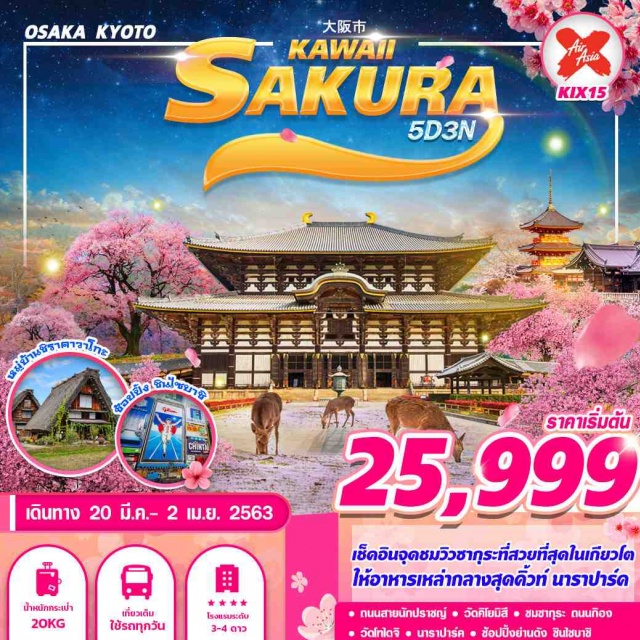 โอซาก้า นาราปาร์ค วัดโทไดจิ ซากุระ เช็คอินจุดชมวิวซากุระที่สวยที่สุดในโตเกียว
ให้อาหารเหล่ากวางสุดคิ้วท์ นาราปาร์ค