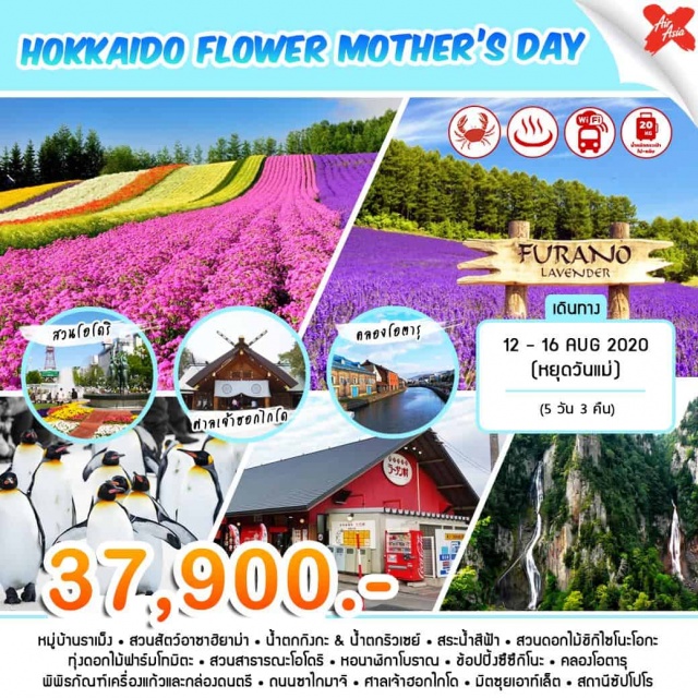  ชิโตเซ่–หมู่บ้านราเม็ง–สวนสัตว์อาซาฮิยาม่า–น้ำตกกิงกะ&น้ำตกริวเซย์–โซอุนเคียว
โซอุนเคียว–สระน้ำสีฟ้า–สวนดอกไม้ชิกิไซโนะโอกะ–
ทุ่งดอกไม้ฟาร์มโทมิตะ–สวนสาธารณะโอโดริ–หอนาฬิกาโบราณ–ช้อปปิ้งซึซึกิโนะ–ซัปโปโร
ซัปโปโร–คลองโอตารุ–หอนาฬิกาไอน้ำ–พิพิธภัณฑ์เครื่องแก้วและกล่องดนตรี–ถนนซาไกมาจิ–ศาลเจ้าฮอกไกโด–
ช้อปปิ้งมิตซุยเอาท์เล็ต–ช้อปปิ้งสถานีซัปโปโร