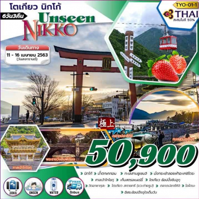  นิกโก้–น้ำตกเคกอน–ทะเลสาบซูเซนจินั่งกระเช้าลอยฟ้าอะเคชิไดระศาลเจ้าโทโชกุ–เก็บสตรอเบอร์รี่–โตเกียว–ชินจูกุอิสระท่องเที่ยวตามอัธยาศัย(ไม่มีรถบัสคอยอำนวยความสะดวกวัดอาซากุสะ–โตเกียวสกายทรี(แวะถ่ายรูป)–ตลาดปลาซึคิจิ–โอไดบะ