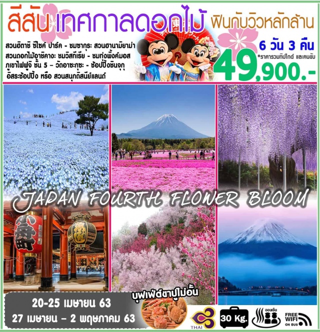  สวนฮิตาชิซีไซค์ปาร์ค-ชมซากุระณสวนฮานามิยาม่าสวนดอกไม้อาชิคางะชมวิสทีเรีย-ชมทุ่งพิ้งค์มอส–ออนเซน+ขาปูภูเขาไฟฟูจิชั้น5–วัดอาซะกุซะ–โตเกียวสกายทรี(ถ่ายรูป)–ช้อปปิ้งชินจุกุโตเกียว–อิสระช้อปปิ้งหรือสวนสนุกดิสนีย์แลนด์