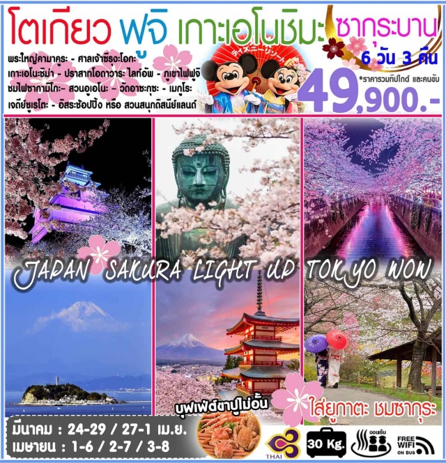  –เมืองคามาคูระ–พระใหญ่คามาคูระ–
ศาลเจ้าซึรุงะโอกะฮาจิมังกุ–เกาะเอโนะชิมะ–ศาลเจ้าเอโนะชิมะ–ประภาคาร
ปราสาทโอดาวาระไลท์อัพ-ออนเซ็น+ขาปูยักษ์ไม่อั้นภูเขาไฟฟูจิ(ชั้น5)–เจดีย์ชูเรโตะ-ซากามิโกะ(ชมซากุระ+ใส่ชุดยูกาตะ)
ชมเทศกาลไฟกลางคืน-เมืองโตเกียวอิสระช้อปปิ้งหรือสวนสนุกดิสนีย์แลนด์โตเกียว–สวนอูเอโนะ(ชมซากุระ)–วัดอาซะกุซะ–โตเกียวสกายทรี(ถ่ายรูป)–
ช้อปปิ้งชินจุกุ–ชมซากุระวิวกลางคืนแม่น้ำเมกุโระ