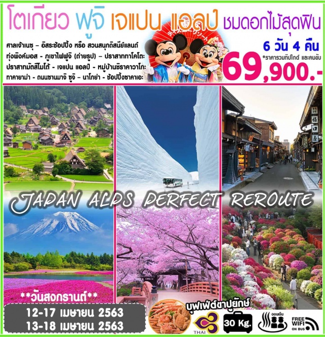  โตเกียว–ช้อปปิ้งศาลเจ้าเนซุ–อิสระช้อปปิ้งหรือสวนสนุกดิสนีย์แลนด์
ออนเซ็น+ขาปูยักษ์ไม่อั้นทุ่งดอกพิงค์มอส-ภูเขาไฟฟูจิ(ถ่ายรูป)–ปราสาททาโคโตะ(ชมซากุระ)–ปราสาทมัตสึโมโต้เจแปนแอลป์หมู่บ้านมรดกโลกชิราคาวาโกะ–ทาคายาม่า–ถนนซานมาจิซูจิ–นาโกย่า–ช้อปปิ้งซาคาเอะ