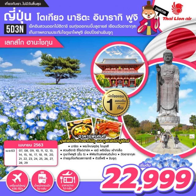 My Image 32