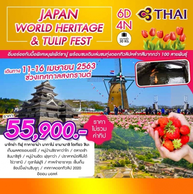  นาโกย่า-เก็บสตรอเบอร์รี่-กิฟุหมู่บ้านชิราคาว่าโก-ทาคายาม่า-หมู่บ้านฮิดะฟุรุคาว่า-ตลาดเช้า-เขตเมืองเก่าซันมาชิซูจิ-มัทสึโมโต้-ปราสาทมัทสึโมโต้-ไร่วาซาบิ-ทะเลสาบคาวากูจิโกะ-ภูเขาไฟฟูจิ-ศาลเจ้าอาราคุระเซ็นเก็นโตเกียว-ช้อปปิ้งชินจูกุ-อิสระท่องเที่ยวด้วยตนเองหรือซื้อทัวร์โตเกียวดิสนีย์แลนด์-ชิบะ-เทศกาลดอกทิวลิป-นาริตะ-อิออนมอลล์–สนามบินนาริตะ