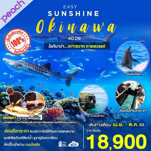 โอกินาว่า ล่องเรือกระจก ชมประการังใต้ท้องทะเลสุดงาม ช้อปปิ้งจุใจย่าน ถนนโดคุไซ 