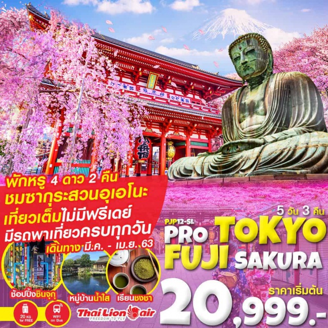 โตเกียว พระใหญ่แห่งคามาคุระ โอชิโนะฮัคไค วัดอาซากุสะ พระใหญ่แห่งคามาคุระ-พิธีชงชาแบบญี่ปุ่น - ภูเขาไฟฟูจิชั้น 5-โอชิโนะฮัคไค-โตเกียว
สวนอุเอโนะ-ช้อปปิ้งชินจุกุ - วัดอาซากุสะ-พระราชวังโตเกียวอิมพีเรียล (ชมภายนอก)-ย่านช้อปปิ้งชินจุกุ- Duty free - ไดเวอร์ซิตี้ โตเกียว พลาซ่า 
#เที่ยวเต็มไม่มีวันอิสระ  #พัก4ดาว (2คืน)