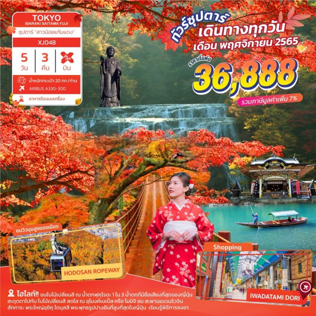 โตเกียว ฟูจิ ล่องเรือชมใบไม้เปลี่ยนสี อุโมงค์เมเปิ้ล น้ำตกฟุคุโรดะ ไฮไลท์!! ชมใบไม้เปลี่ยนสี ณ น้ำตกฟุคุโรดะ น้ำตกที่มีชื่อเสียงที่สุด
ชม สะพานแขวนริวจิน ขอพรเทพเจ้า ณ ศาลเจ้าโฮโดซัง ที่ได้รางวัล The Michelin Green Guide 1 ดาว ขึ้นกระเช้าไฟฟ้าภูเขาโฮโด ล่องเรือชมใบไม้เปลี่ยนสี อุโมงค์เมเปิ้ล
ช้อปปิ้งชินจูกุ พร้อมเช็คอินแลนด์มาร์คแห่งใหม่ แมวยักษ์ 3 มิติ บุฟเฟ่ต์ขาปู อาบน้ำแร่ธรรมชาติ #เที่ยวญีปุ่น  #ใบไม้เปลี่ยนสี