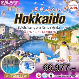 ทัวร์ คลองโอตารุ ถนนซาคามาจิ พิพิธภัณฑ์กล่องดนตรี นาฬิกาไอน้ำโบราณ คาเฟ่คิตตี้ 
โรงงานช็อตโกแลต อาซาฮิคาว่า อิออนมอลล์ สวนสัตว์อาซาฮิยาม่า หมู่บ้านราเม็ง เมืองฟุราโน บ่อน้ำสีฟ้า หมู่บ้านนิงเกิลเทเรส ย่านซูซูกิโนะ ศาลเจ้าฮอกไกโด ชมซากุระสวนมารุยามะ ศาลาว่าการเก่าออกไกโด ดิวตี้ฟรี มิตซุยเอาท์เล็ต หอนาฬิกาซัปโปโร สวนโอโดริ ซัปโปโรทาวเวอร์ ช้อปปิ้งถนนทานุกิโคจิ
#รูดบัตรไม่ชาร์จ
