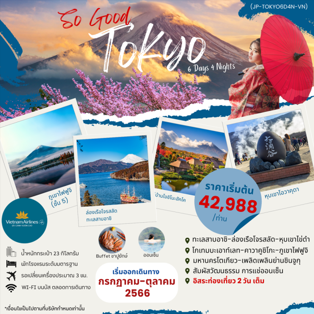 โตเกียว ฟูจิ คาวาคูชิโกะ ทะเลสาบอาชิ-ล่องเรือโจรสลัด-หุบเขาไข่ดำ
โกเทมบะเอาท์เลท-คาวาคูชิโกะ-ภูเขาไฟฟูจิ
มหานครโตเกียว-เพลิดเพลินย่านชินจูกุ