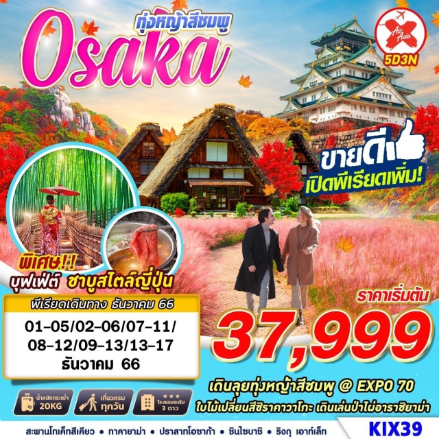 โอซาก้า อาราชิยาม่า ชิราคาวาโกะ เดินลุยทุ่งหญ้าสีชมพู @ EXPO 70
ใบไม้เปลี่ยนสีซิราคาวาโกะ เดินเล่นป่าไผ่อาราชิยาม่า