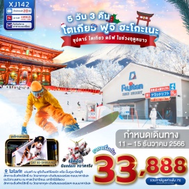 ทัวร์ ขึ้น ภูเขาไฟฟูจิชั้น 5 สัญลักษณ์ของประเทศญี่ปุ่น หรือ เล่นสกี ณ ฟูจิเท็นสกีรีสอร์ท
สักการะสิ่งศักด์สิทธิ์ ณ วัดอาซากุสะ พร้อมเดินชิม ของอร่อยๆ ที่ ถนนนากามิเสะ
ถ่ายรูปคู่ หอคอยโตเกียวสกายทรี ริมแม่น้ำสุมิดะ
เสาโทริอิสีแดง ริมทะเลสาบที่เป็นจุดถ่ายรูปยอดนิยม ณ ศาลเจ้าฮาโกเนะ
พาชมและชิม ไข่ดำ ณ หุบเขาโอวาคุดานิ
เรียนรู้วัฒนธรรมการชงชาแบบญี่ปุ่นดั้งเดิม 
โกเทมบะพรีเมี่ยมเอ้าท์เลต ผ่อนคลายกับการจับจ่ายซื้อของแบรนด์เนมชื่อดังในราคาย่อมเยา
ช้อปปิ้งจุใจย่านดังกรุงโตเกียว โอไดบะ และ ชินจุกุ และของฝากจาก อิออน มอลล์ นาริตะ
ผ่อนคลายกับการแช่น้ำแร่ธรรมชาติ (ออนเซน)