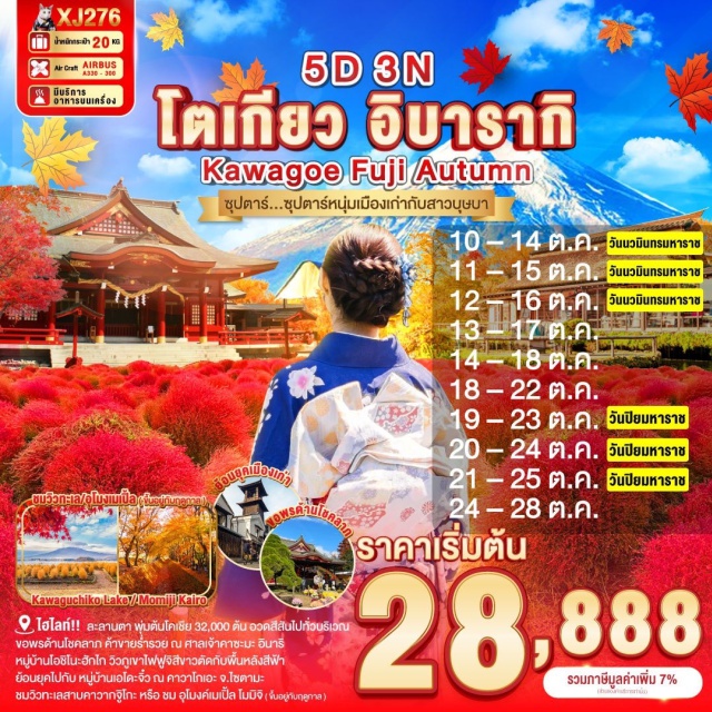 อิบารากิ ไซตามะ ยามานาชิ จุดชมวิวทะเลสาบคาวากจูิโกะ ทะเลสาบที่ใหญ่เป็นอันดับ 2 ของ 5 ทะเลสาบรอบภูเขาไฟฟูจิ หรือ สะดุดตาไปกับ ใบไม้เปลี่ยนสี สดใส ณ อุโมงค์เมเปิ้ล หรือ โมมิจิ (ขึ้นอยู่กับฤดูกาล) 
ละลานตา พุ่มต้นโคเชีย ประมาณ 32,000 ต้น ที่จะพากันอวดสีสันไปทั่วบริเวณ
ขอพรด้านโชคลาภ ค้าขายร่ำรวย ณ ศาลเจ้าคาซะมะ อินาริ
หมู่บ้านโอชิโนะฮักไก วิวภูเขาไฟฟูจิสีขาวตัดกับพื้นหลังสีฟ้า
ย้อนยุคไปกับ หมู่บ้านเอโดะจิ๋ว ณ คาวาโกเอะ จ.ไซตามะ
สัมผัสวัฒนธรรมดั้งเดิมของชาวญี่ปุ่น เรียนพิธีชงชาญี่ปุ่น (Sado)
ช้อปปิ้งจุใจ ชินจูกุ พร้อมเช็คอิน แลนด์มาร์คแห่งใหม่ แมวยักษ์ 3 มิติ
บุฟเฟ่ต์ขาปู และผ่อนคลายกับการแช่น้ำแร่ธรรมชาติ (ออนเซน)
มีน้ำดื่มบริการบนรถบัสวันละ 1 ขวด