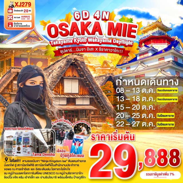 โอซาก้า อิเสะ ชิราคาวาโกะ ตามรอยนินจาที่ “NINJA KINGDOM ISE” ดินแดนที่เต็มไปด้วยค่ายกล เข้ามาแล้วหาทางออกให้ได้ล่ะ! นั่งรถไฟ สู่ สถานีรถไฟคิชิ สถานีรถไฟที่เป็นสำนักงานประจำการ ของ นายสถานีแมวเหมียว ขอพร ณ ศาลเจ้าอิเสะ ที่สุดของศาลเจ้าญี่ปุ่น และ อิสระเดินเล่นถนนโบราณ โอคาเกะโยโคะโจ ชม หมู่บ้านมรดกโลกการันตีโดย UNESCO ณ หมู่บ้านชิราคาวาโกะ เดินชิว เมืองเก่าทาคายาม่า ฉายา Little Kyoto ณ ถนนซันมาจิซูจิ
สักการะสิ่งศักดิ์สิทธิ์ ณ ศาลเจ้าเฮอัน ประตูโทริอิยักษ์สีแดงตั้งอยู่ด้านหน้าของวัด
ศาลเจ้านัมบะยาซากะ ศาลเจ้ารูปปั้นหน้าสิงโตอ้าปากขนาดใหญ่ เชื่อกันว่ากลืนกินสิ่งไม่ดีทั้งหลาย ตลาดปลาคุโรชิโอะ ตลาดปลาและอาหารทะเล ของเมืองวาคายาม่า ช้อปปิ้ง แจ๊ซ ดรีม เอ้าท์เล็ท ศูนย์รวมของฝากราคาดีงาม และ ย่านชินไซบาชิ พร้อมเช็คอิน ป้ายกูลิโกะแมน แห่ง โดทงโบริ ของเมืองโอซาก้า