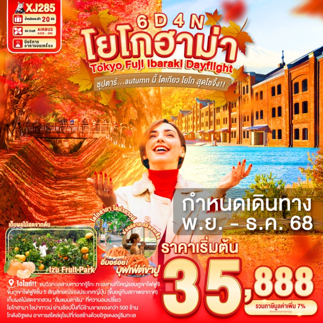 โยโกฮาม่า โตเกียว ยามานาชิ -จุดชมวิวทะเลสาบคาวากจูิโกะ ทะเลสาบที่ใหญ่เป็นอันดับ 2 ของ 5 ทะเลสาบรอบภูเขาไฟฟูจิ หรือ สะดุดตาไปกับ ใบไม้เปลี่ยนสี สดใส ณ อุโมงค์เมเปิ้ล หรือ โมมิจิ (ขึ้นอยู่กับฤดูกาล) 
-ขึ้นภูเขาไฟฟูจิชั้น 5 สัญลักษณ์ของประเทศญี่ปุ่น (ขึ้นอยู่กับสภาพอากาศ)
-เก็บผลไม้สดจากสวน 'ส้มแมนดาริน' ที่หวานอมเปรี้ยว พูดได้เลยว่า อร่อยมาก
-เที่ยว เมืองอาโอไร จ.อิบารากิ ช้อป ชิม อาหารทะเลสด ณ ตลาดปลานาคามินาโตะ
-ขอพร ณ ศาลเจ้าโออาไรอิโซซากิ รับพลังงานบวก ณ เสาโทริอิแห่งคามิอิโซะ
-ช้อปปิ้ง MITSUI OUTLET PARK YOKOHAMA BAYSIDE บรรยากาศริมอ่าวโยโกฮาม่า 
-โยโกฮามา ไชน่าทาวน์ ย่านช้อปปิ้งที่มีแต่ของอร่อย และร้านขายของกว่า 500 ร้าน
-โกดังอิฐแดง หรือ ตึกอิฐแดง อาคารสไตล์ยุโรปที่ก่อสร้างด้วยอิฐแดงอยู่ริมทะเลอ่าวโยโกฮาม่า
-ช้อปปิ้งจุใจ ชินจูกุ พร้อมเช็คอิน แลนด์มาร์คแห่งใหม่ แมวยักษ์ 3 มิติ
-บุฟเฟ่ต์ขาปู และผ่อนคลายกับการแช่น้ำแร่ธรรมชาติ (ออนเซน)
-มีน้ำดื่มบริการบนรถบัสวันละ 1 ขวด